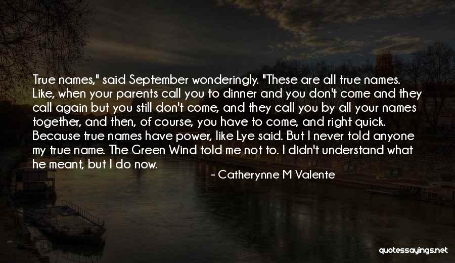 Not Meant Together Quotes By Catherynne M Valente