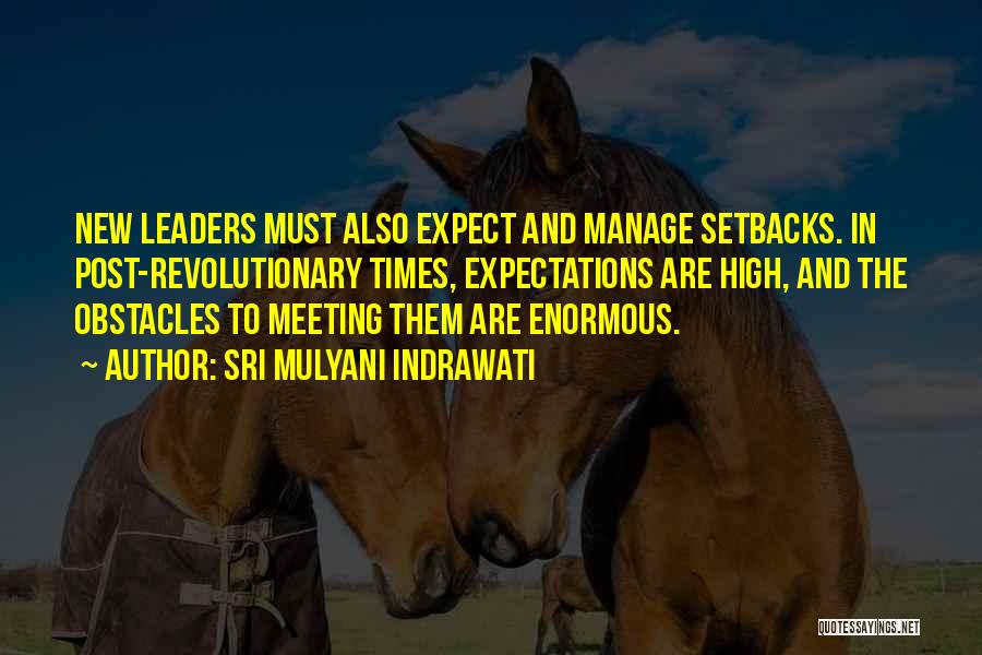 Not Meeting Expectations Quotes By Sri Mulyani Indrawati