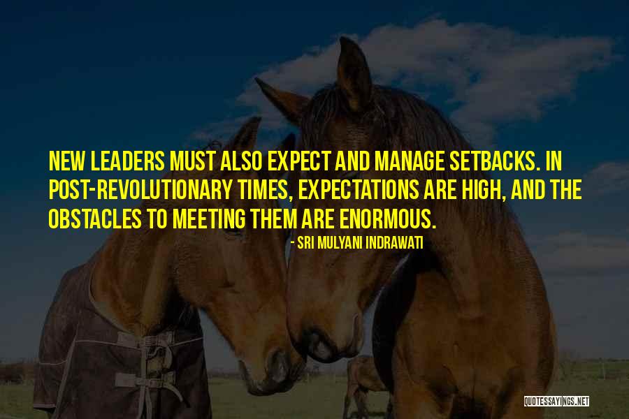 Not Meeting Someone's Expectations Quotes By Sri Mulyani Indrawati Not Meeting Someone's Expectations Quotes By Sri Mulyani Indrawati