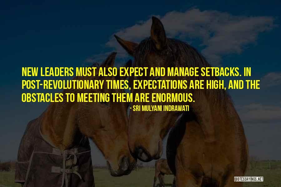 Not Meeting Someone's Expectations Quotes By Sri Mulyani Indrawati