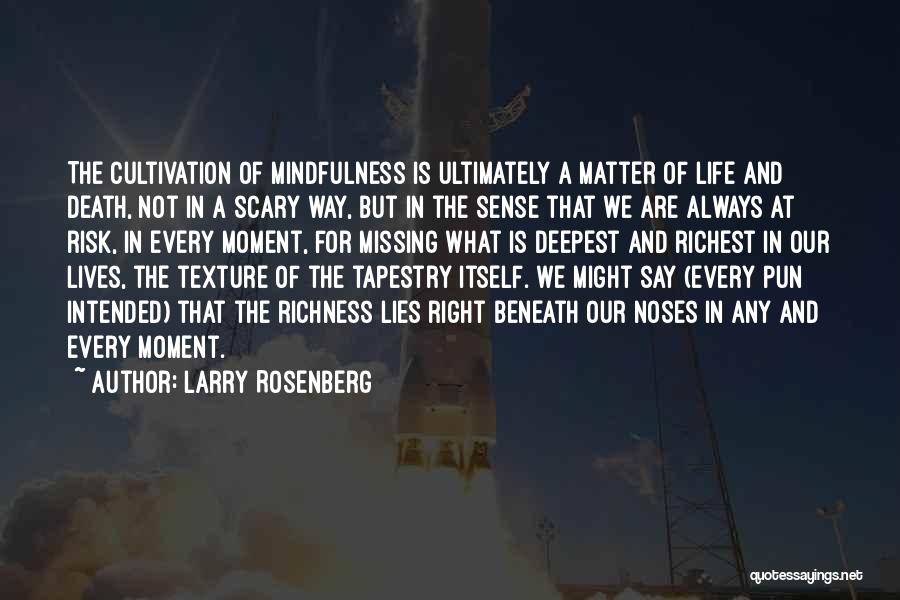 Not Missing A Moment Quotes By Larry Rosenberg