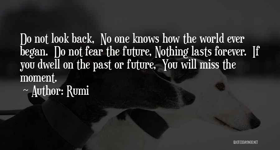 Not Missing The Past Quotes By Rumi