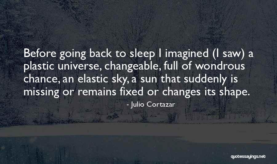 Not Missing Your Chance Quotes By Julio Cortazar Not Missing Your Chance Quotes By Julio Cortazar