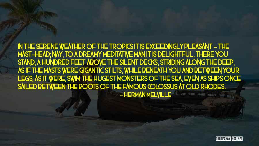Not Neglecting Anyone Quotes By Herman Melville Not Neglecting Anyone Quotes By Herman Melville