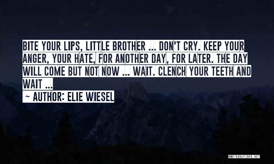 Not Now But Later Quotes By Elie Wiesel