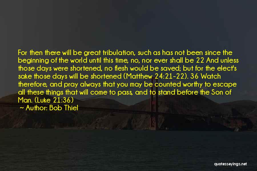 Not Of This World Quotes By Bob Thiel
