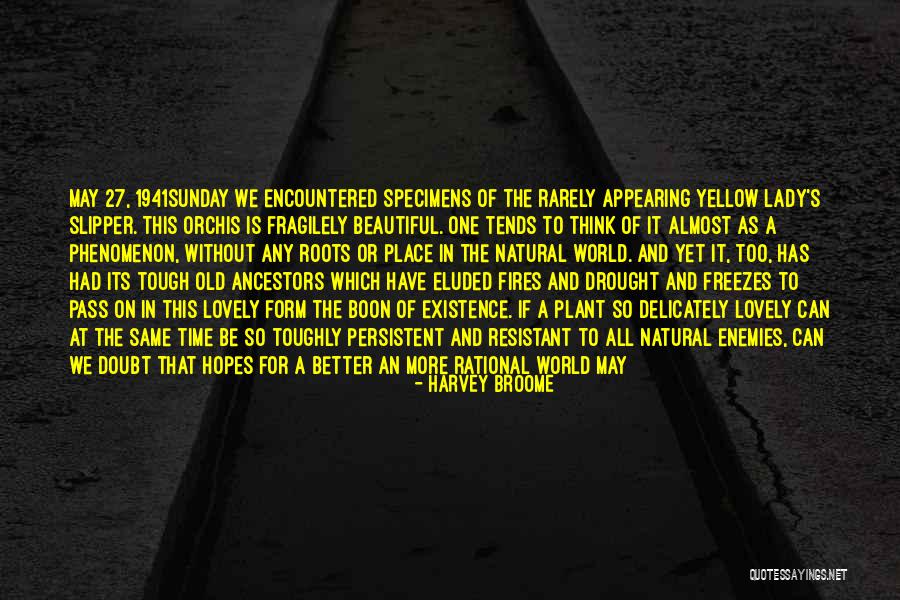 Not Old Yet Quotes By Harvey Broome Not Old Yet Quotes By Harvey Broome