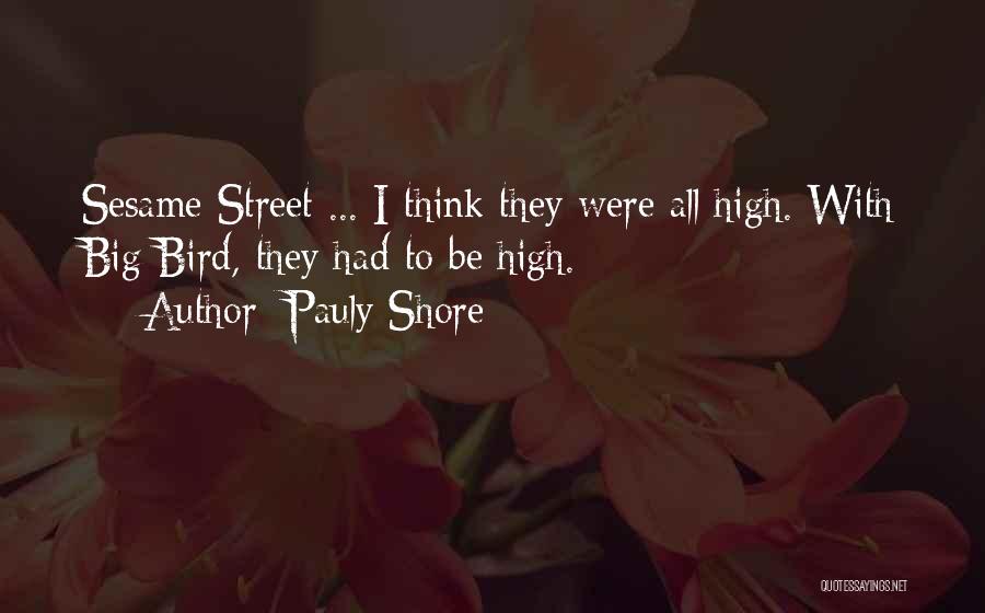 Not On The High Street Quotes By Pauly Shore