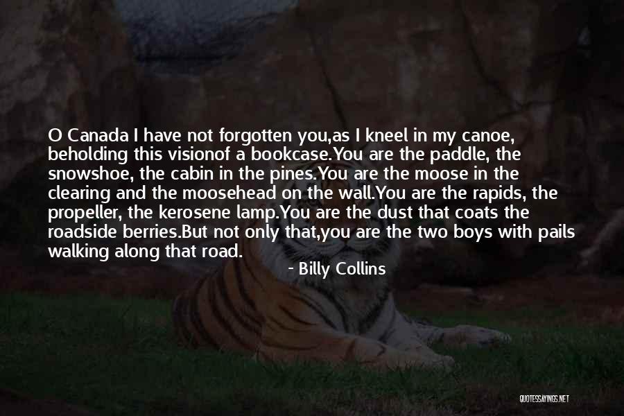 Not Only You Quotes By Billy Collins