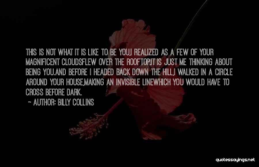 Not Over The Hill Quotes By Billy Collins