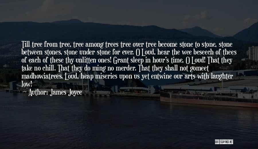 Not Over Yet Quotes By James Joyce