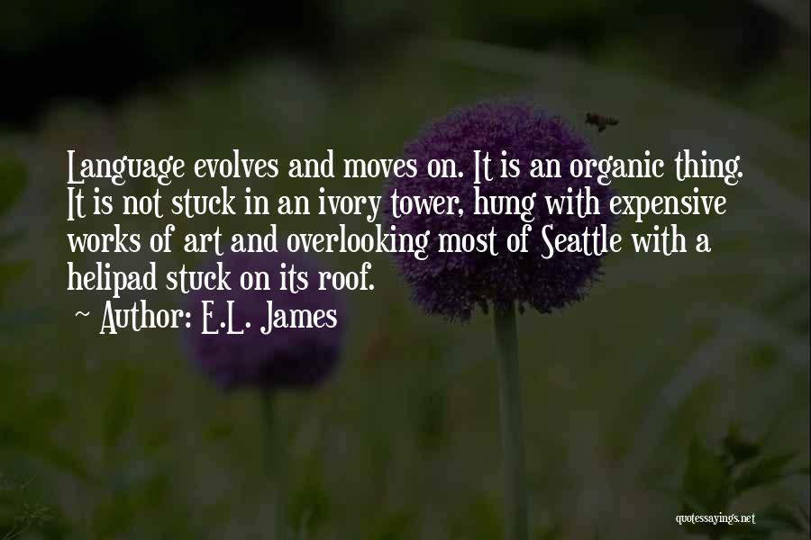 Not Overlooking Quotes By E.L. James