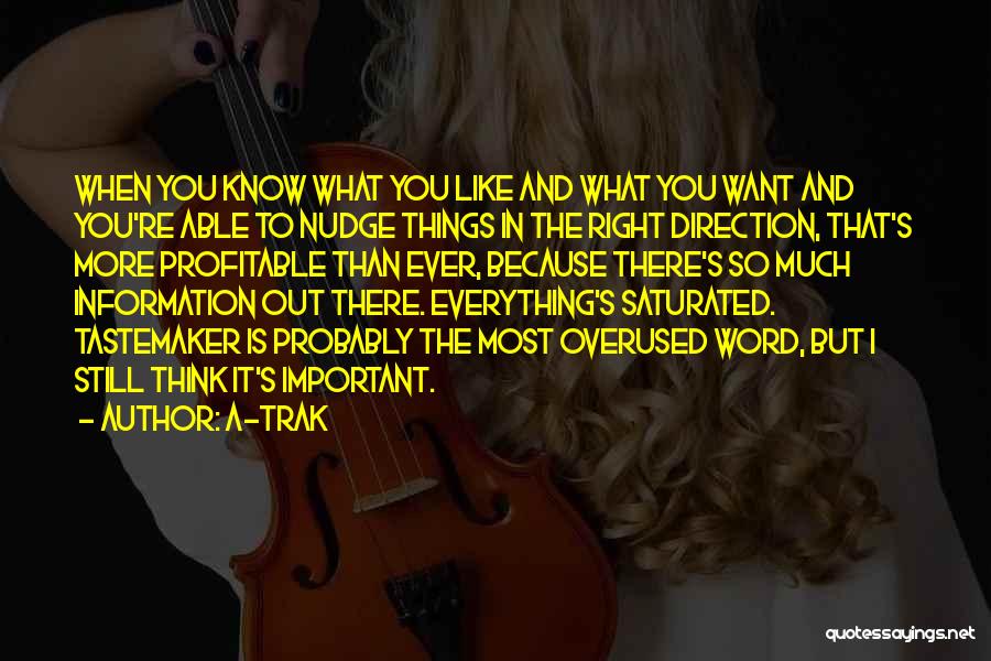 Not Overused Quotes By A-Trak