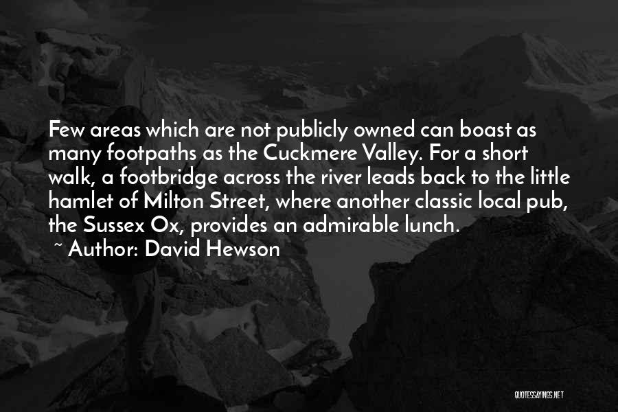 Not Owned Quotes By David Hewson