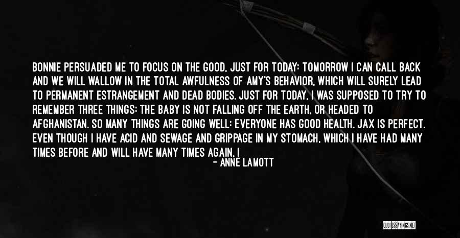 Not Perfect But In Love Quotes By Anne Lamott Not Perfect But In Love Quotes By Anne Lamott