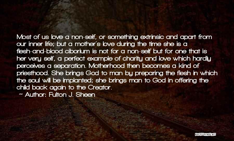 Not Perfect Mother Quotes By Fulton J. Sheen