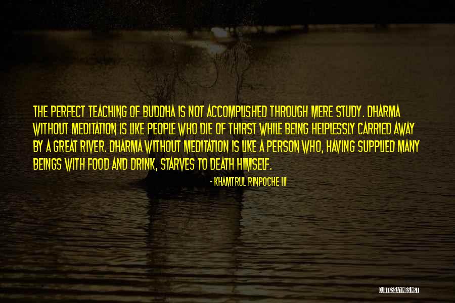 Not Perfect Person Quotes By Khamtrul Rinpoche III