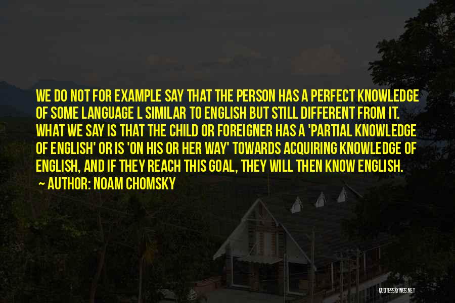 Not Perfect Person Quotes By Noam Chomsky