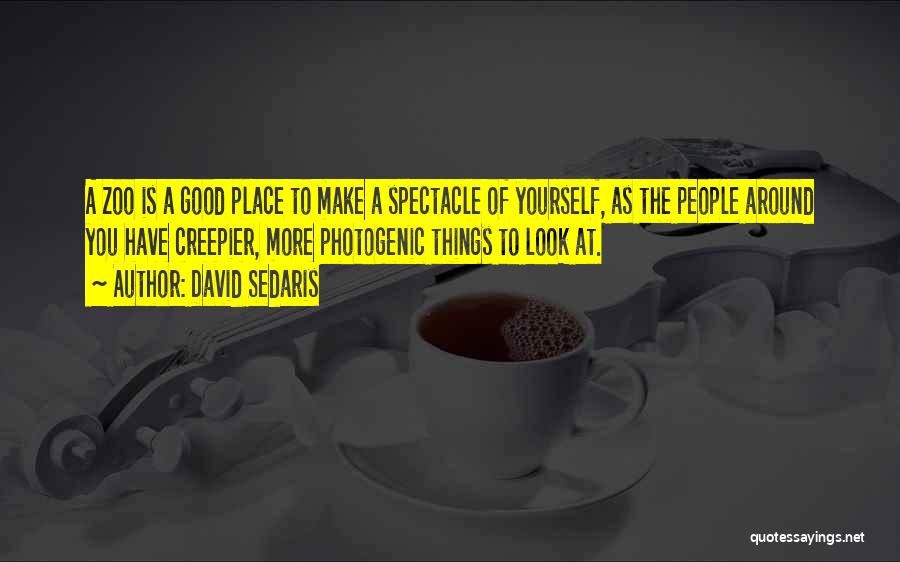 Not Photogenic Quotes By David Sedaris