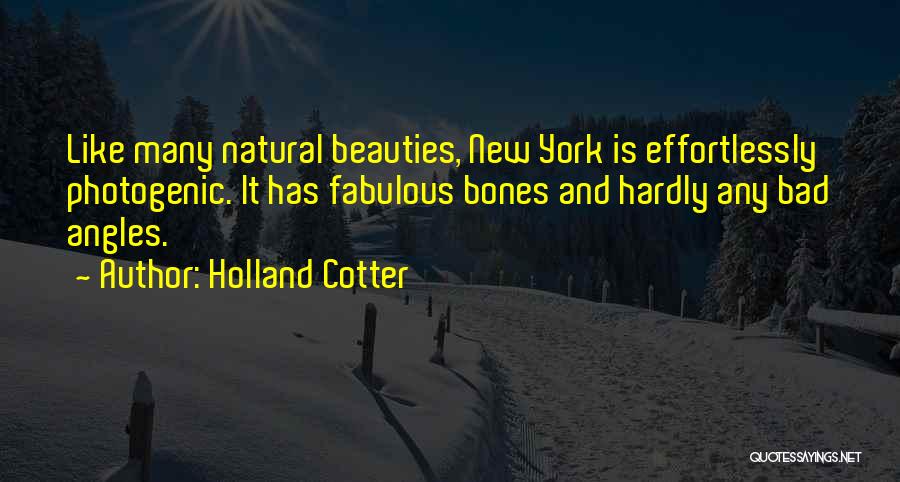 Not Photogenic Quotes By Holland Cotter