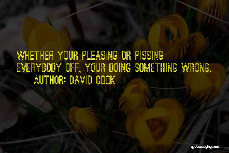 Not Pissing Me Off Quotes By David Cook