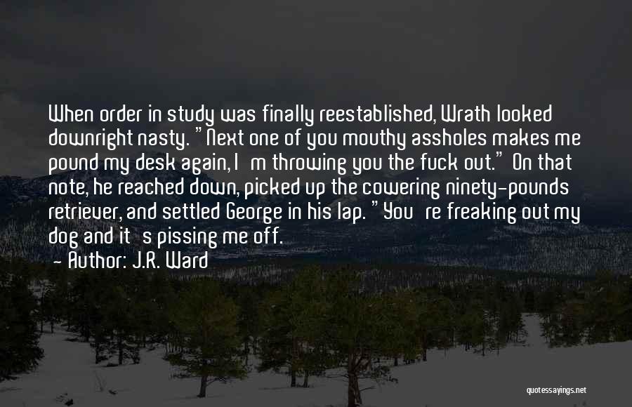 Not Pissing Me Off Quotes By J.R. Ward