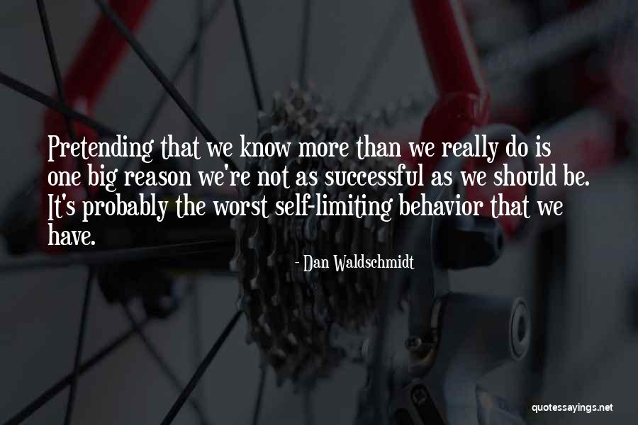 Not Pretending Quotes By Dan Waldschmidt