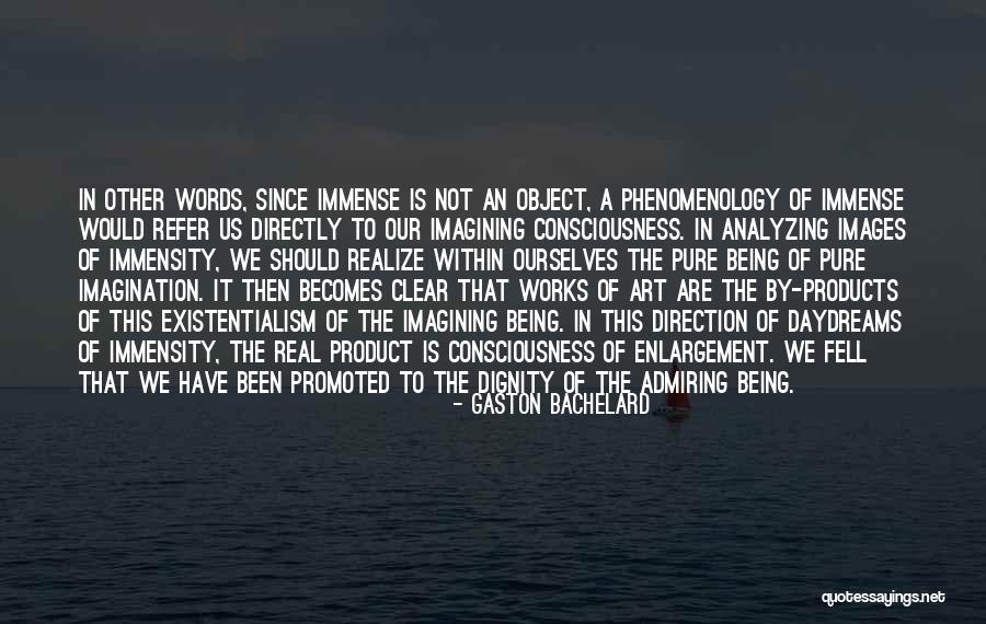 Not Promoted Quotes By Gaston Bachelard Not Promoted Quotes By Gaston Bachelard