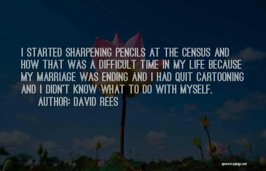 Not Quitting Life Quotes By David Rees