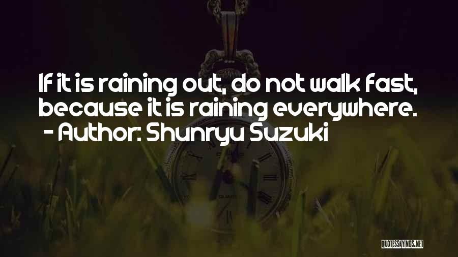 Not Raining Quotes By Shunryu Suzuki