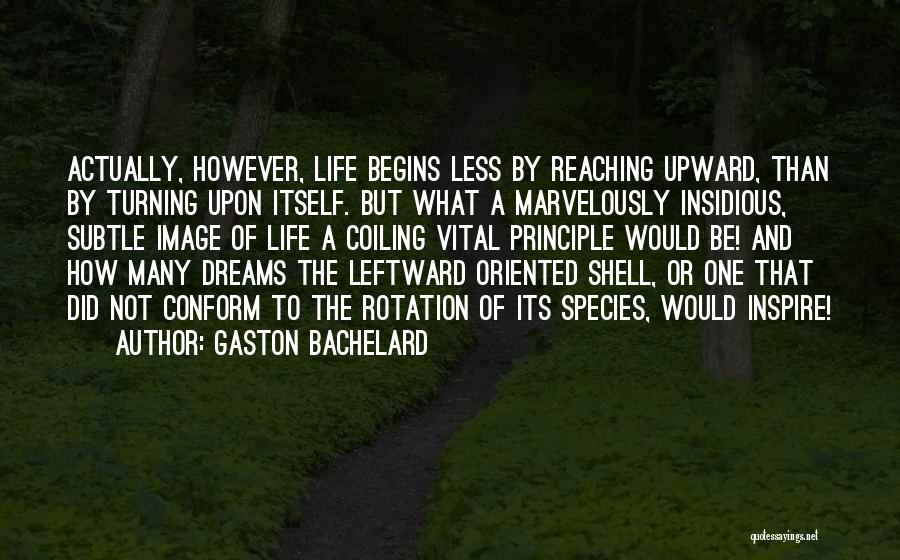 Not Reaching Dreams Quotes By Gaston Bachelard