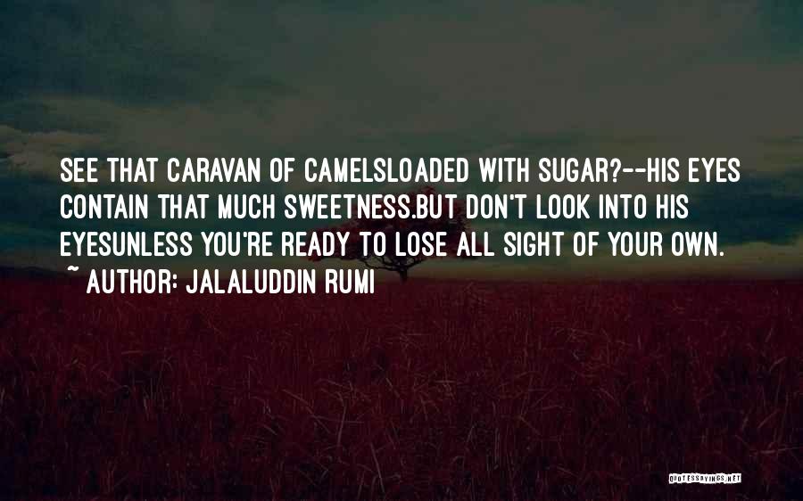 Not Ready To Lose You Quotes By Jalaluddin Rumi