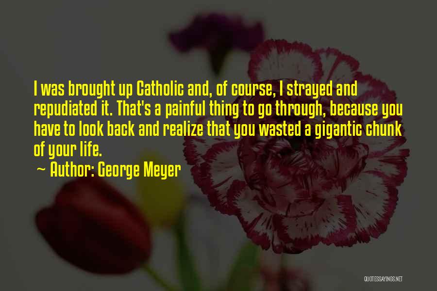 Not Realizing What You Had Quotes By George Meyer