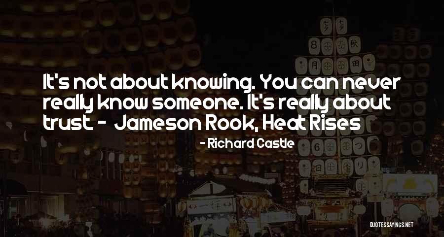 Not Really Knowing Quotes By Richard Castle Not Really Knowing Quotes By Richard Castle