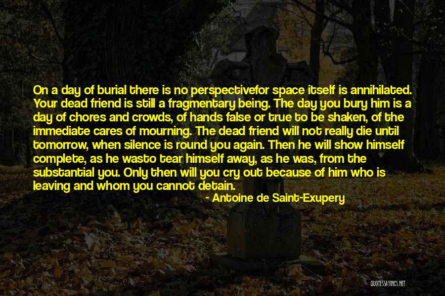 Not Really Your Friend Quotes By Antoine De Saint-Exupery