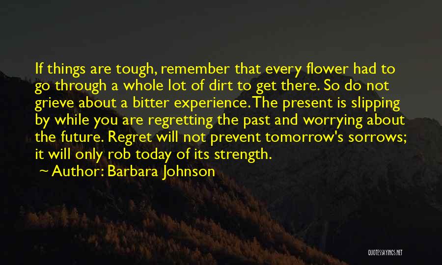 Not Regretting Quotes By Barbara Johnson