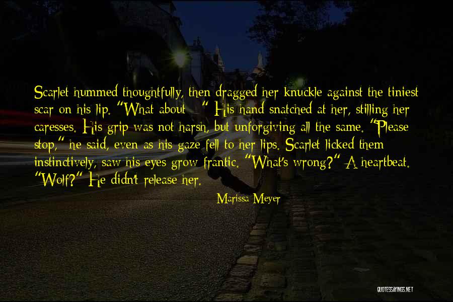 Not Release Quotes By Marissa Meyer Not Release Quotes By Marissa Meyer
