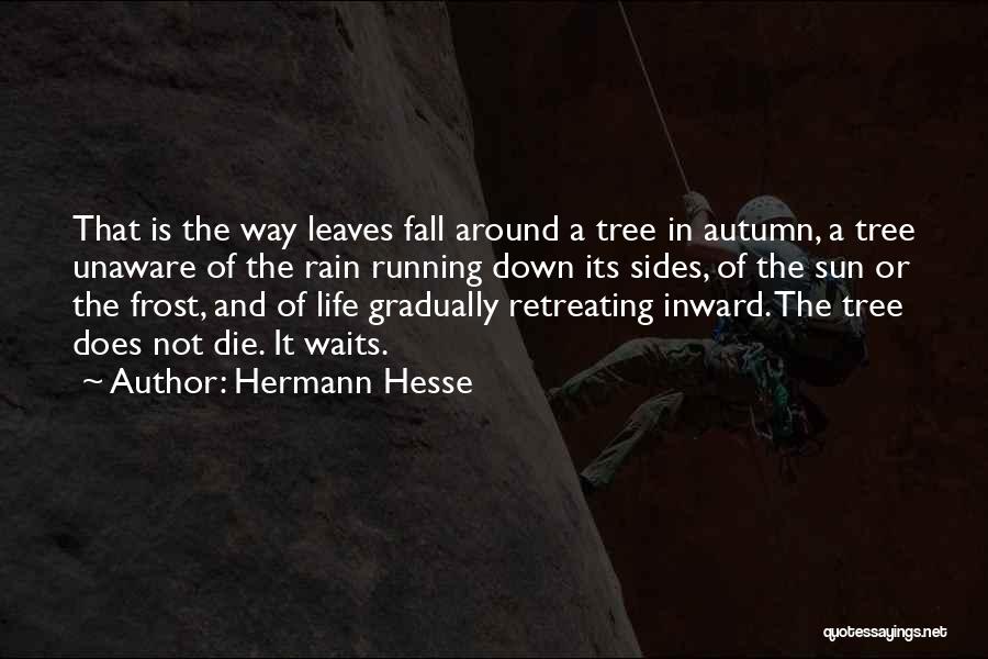 Not Retreating Quotes By Hermann Hesse