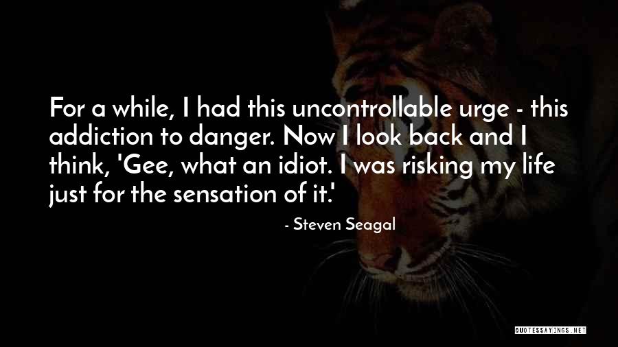 Not Risking Your Life Quotes By Steven Seagal Not Risking Your Life Quotes By Steven Seagal