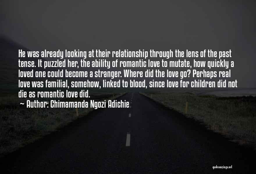 Not Romantic Love Quotes By Chimamanda Ngozi Adichie