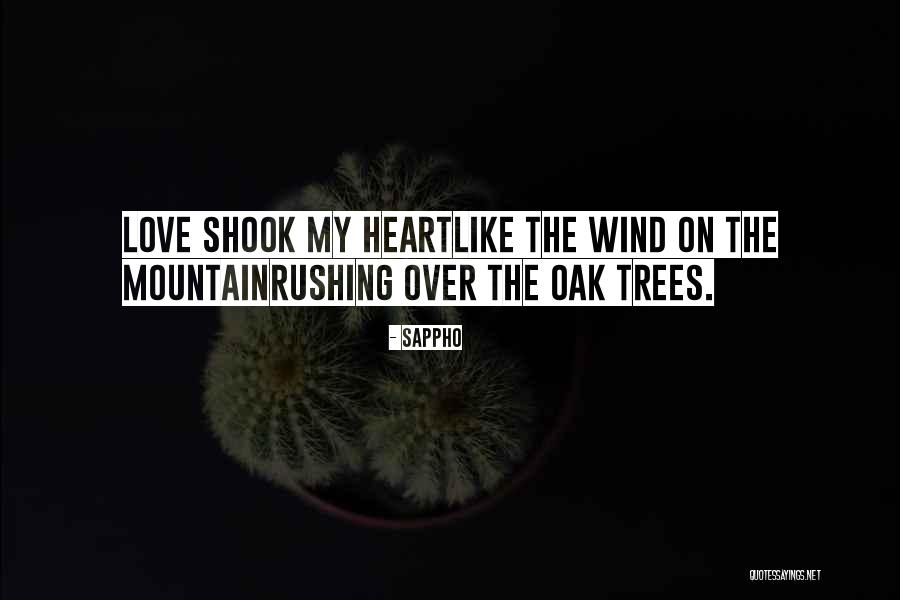 Not Rushing Love Quotes By Sappho Not Rushing Love Quotes By Sappho