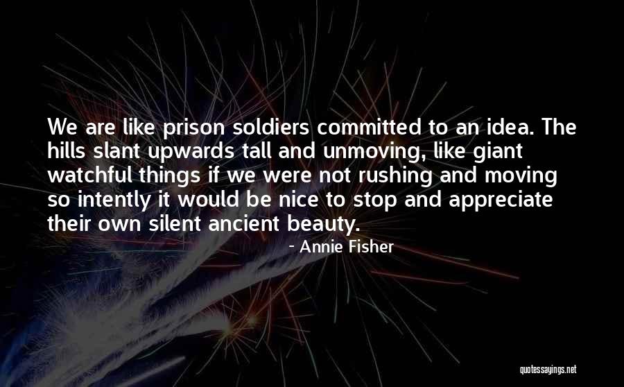 Not Rushing Quotes By Annie Fisher