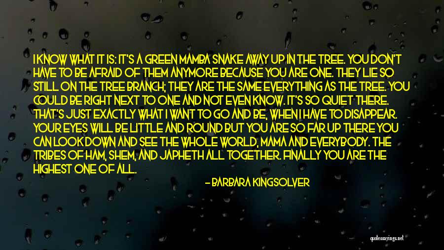 Not Same Anymore Quotes By Barbara Kingsolver