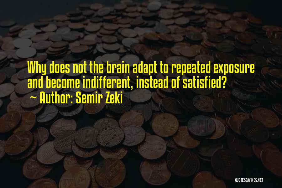 Not Satisfied Quotes By Semir Zeki