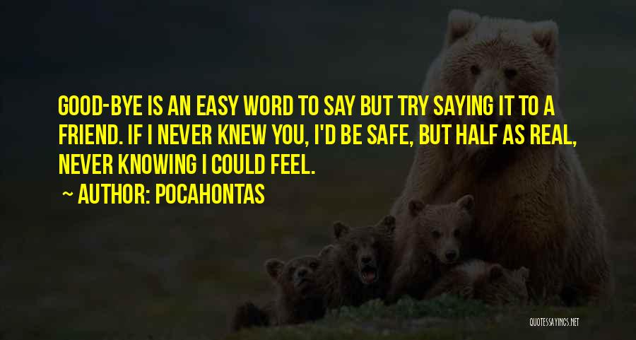 Not Saying Bye Quotes By Pocahontas