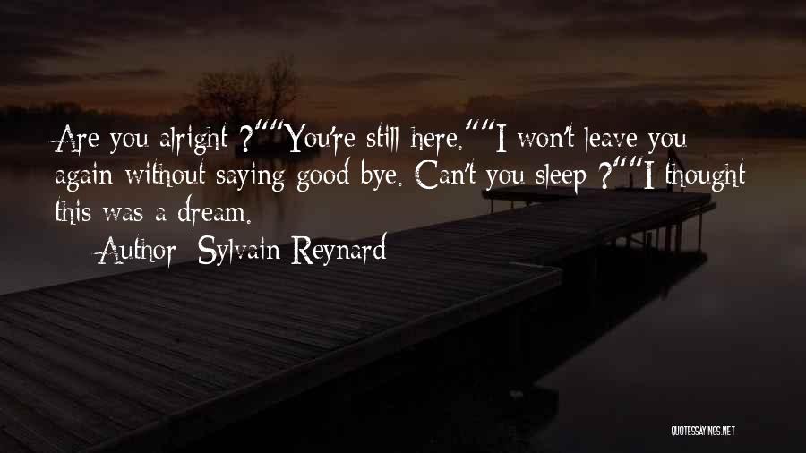 Not Saying Bye Quotes By Sylvain Reynard
