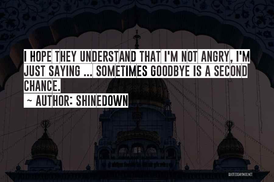 Not Saying Goodbye Quotes By Shinedown