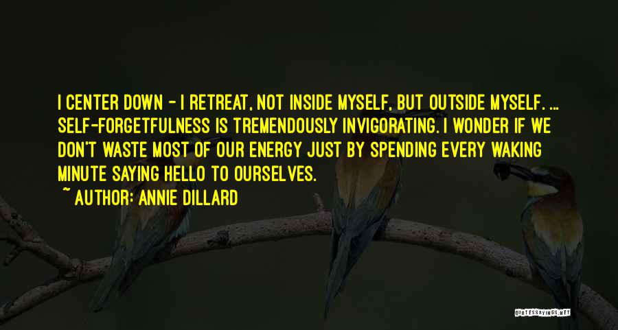 Not Saying Hello Quotes By Annie Dillard