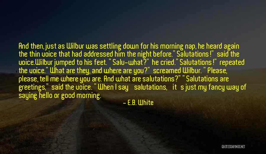 Not Saying Hello Quotes By E.B. White