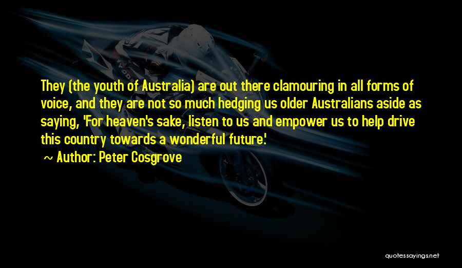 Not Saying Much Quotes By Peter Cosgrove